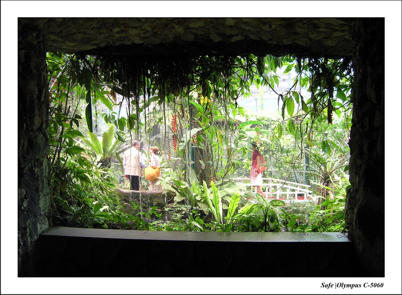 2005 - 08 - KUL - parc animalier  - 04.JPG